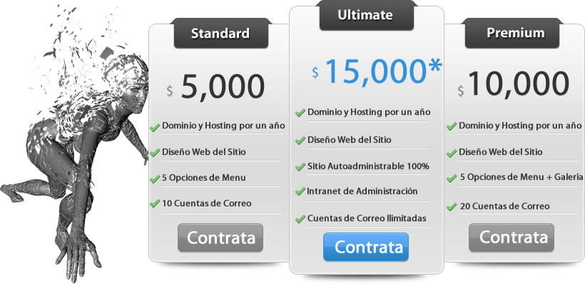 Contrata tu Sitio Web